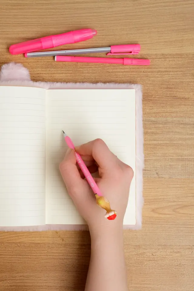 Peluş Hatıra Günlük Anı Defteri Krop Notebook Seri Pembe Kedi